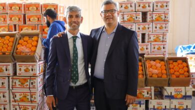 Maalexi Emirati Platform Closes $3 Million Funding Round