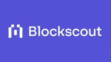 جمعت شركة Blockscout، التي تتخذ من الإمارات العربية المتحدة مقرًا لها،3 ملايين دولار في جولة تمويل أولي بقيادة 1kx. وتعد Blockscout مستكشف كتل مفتوح المصدر