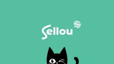 Sellou Closes Seed Funding Round to Expand Social Commerce Platform