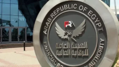 الرقابة المالية المصرية توافق على استخدام التكنولوجيا المالية في الأنشطة غير المصرفية لخمس شركات جديدة